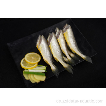 Gefrorene kleine gelbe Croaker -Meeresfrüchte